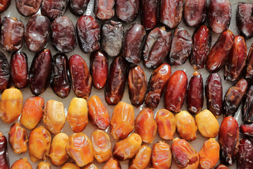 Medjool dates